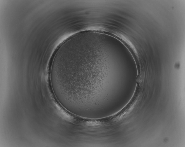 X0000097881037200803141315