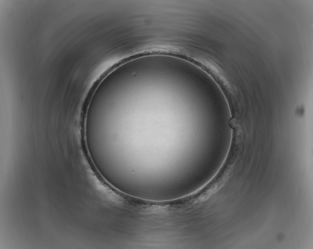 X0000097881038200803141315