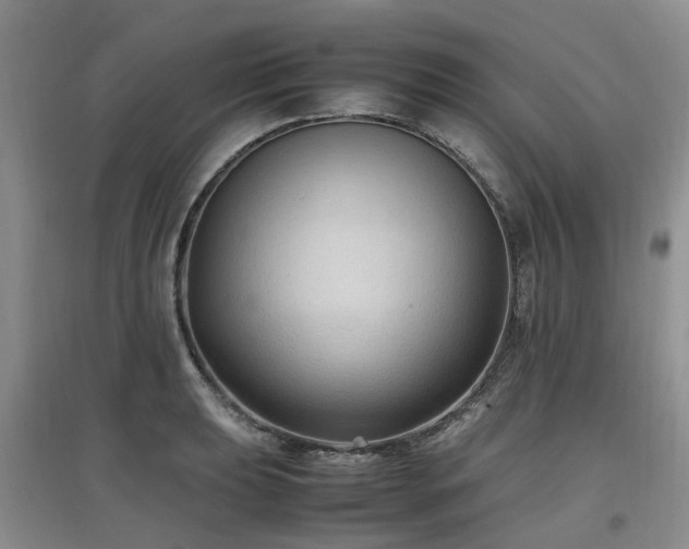 X0000097881039200803141315