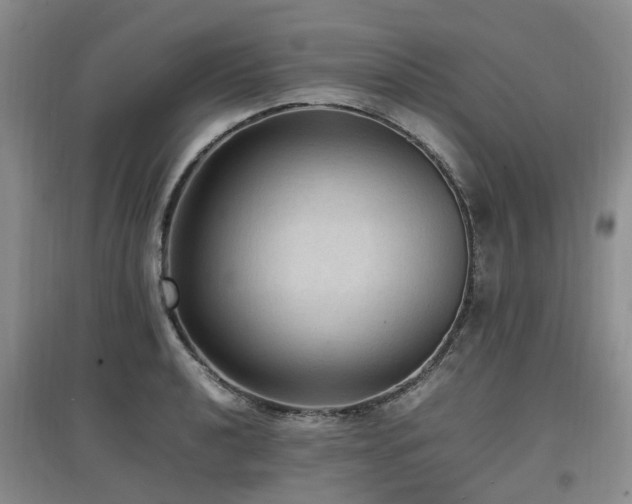X0000097881040200803141315