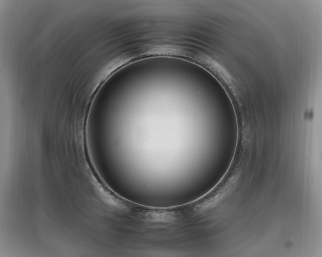 X0000097881041200803141315