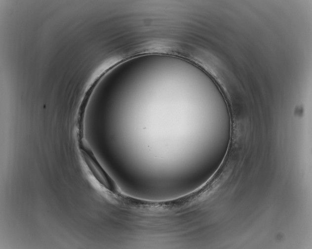 X0000097881042200803141315