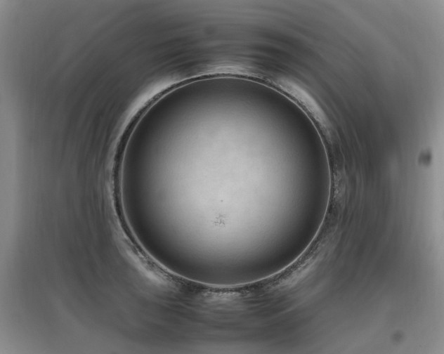 X0000097881043200803141315