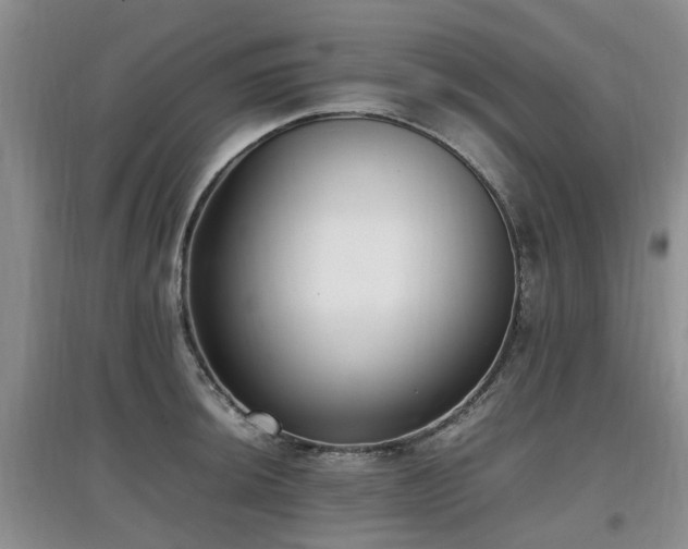 X0000097881044200803141315