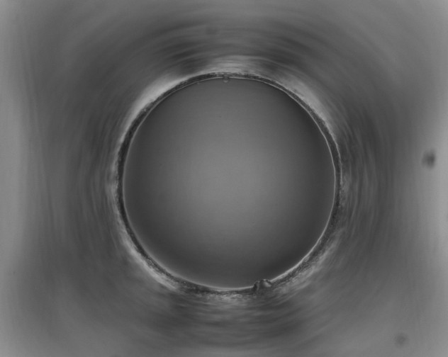X0000097881045200803141316