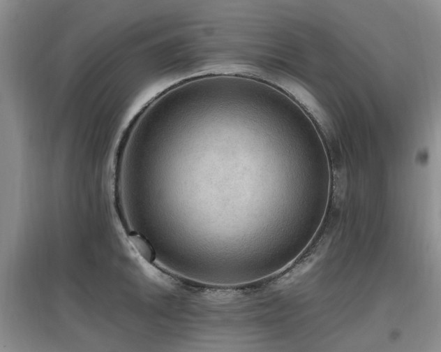 X0000097881046200803141316