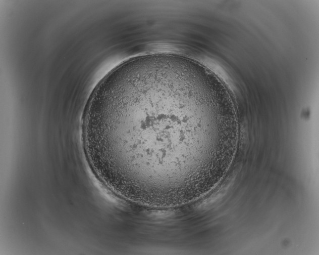 X0000097881047200803141316