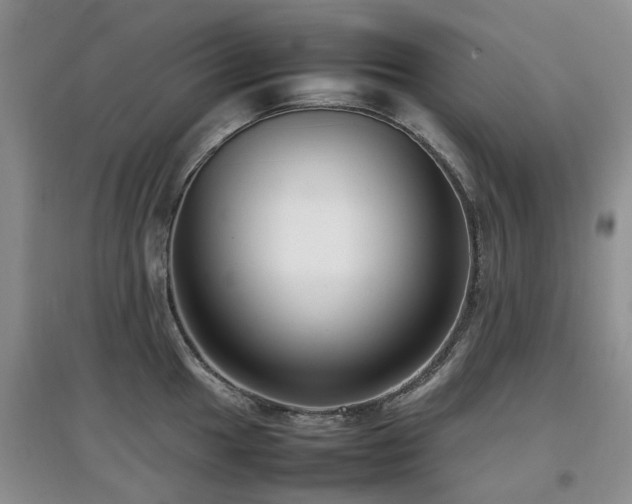 X0000097881049200803141316