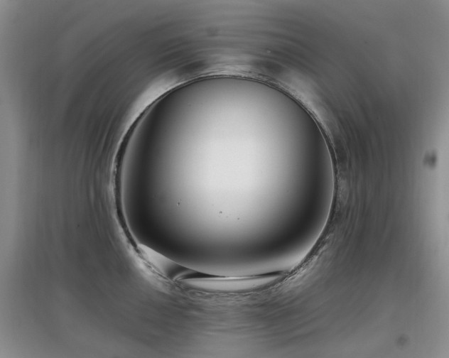 X0000097881050200803141316