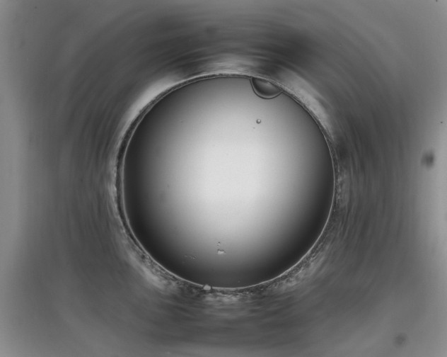 X0000097881051200803141316