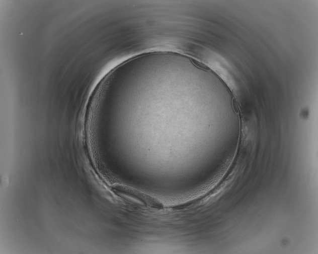 X0000097881052200803141316