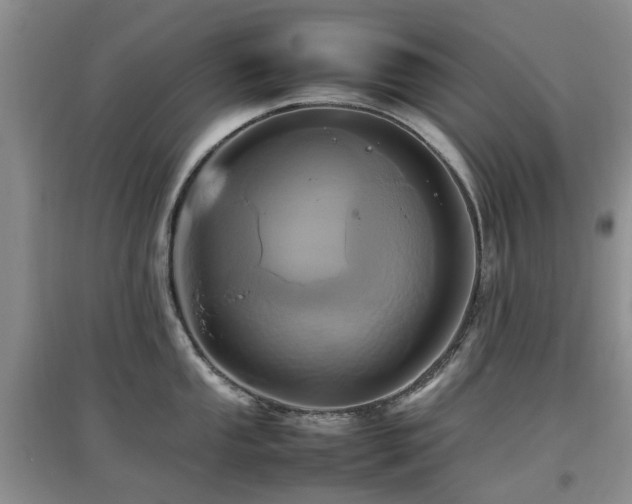 X0000097881053200803141316