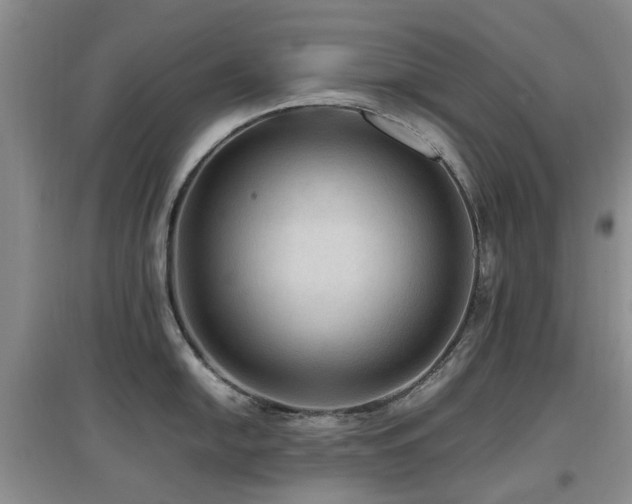 X0000097881054200803141316
