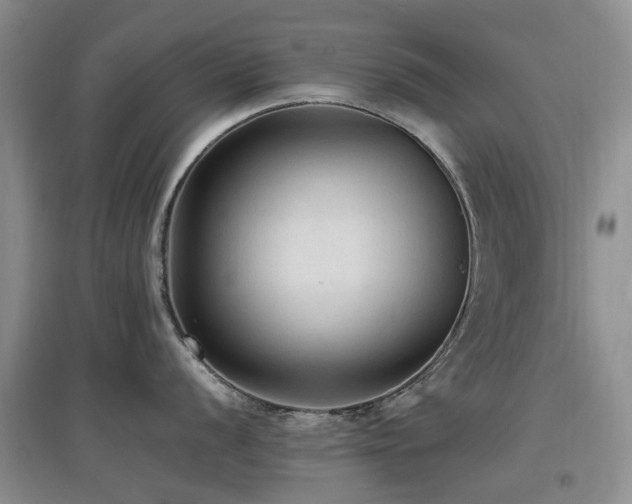 X0000097881056200803141316