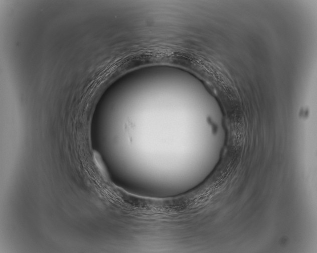 X0000097881057200803141315