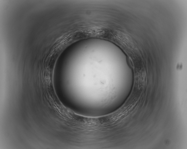 X0000097881058200803141315