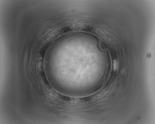 X0000097881059200803141315