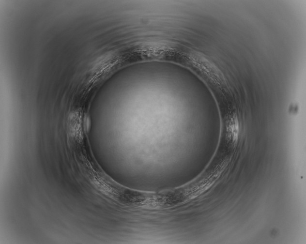 X0000097881060200803141315