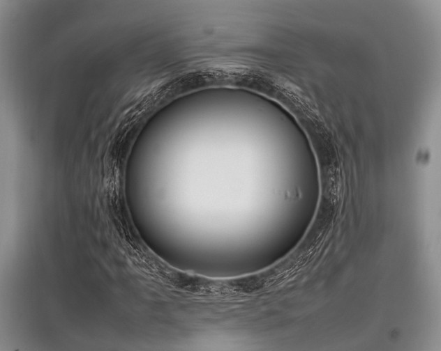 X0000097881061200803141315