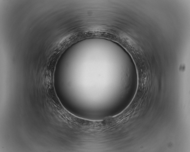 X0000097881062200803141315