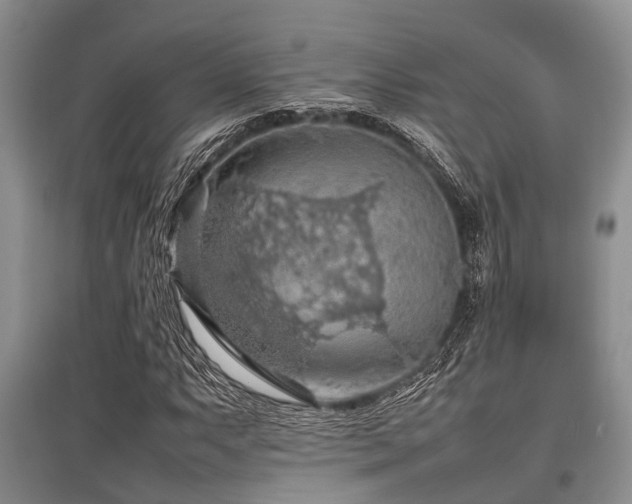 X0000097881063200803141315