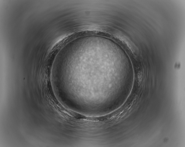 X0000097881064200803141315