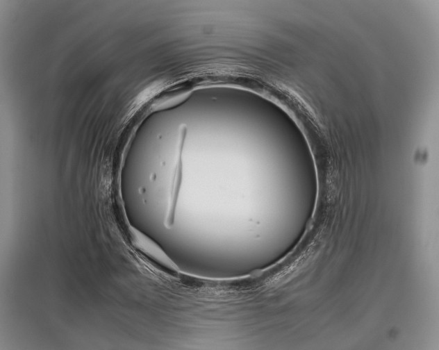 X0000097881065200803141315