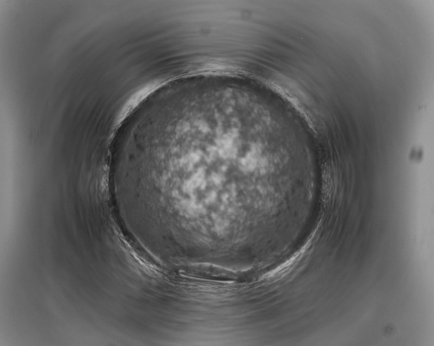 X0000097881066200803141315