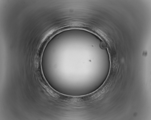 X0000097881067200803141315