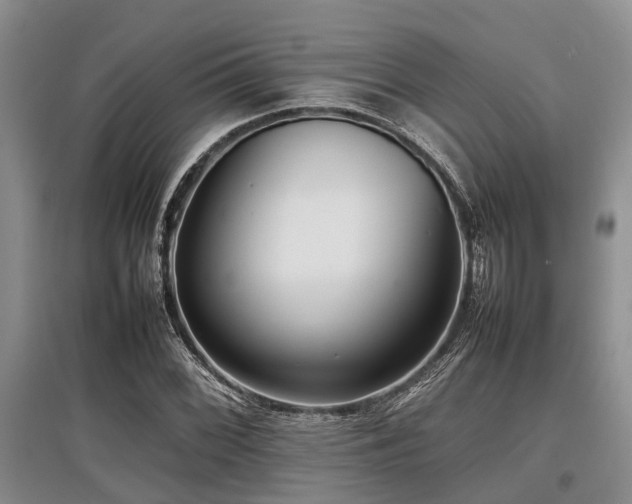 X0000097881068200803141315