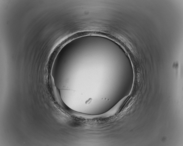 X0000097881069200803141315