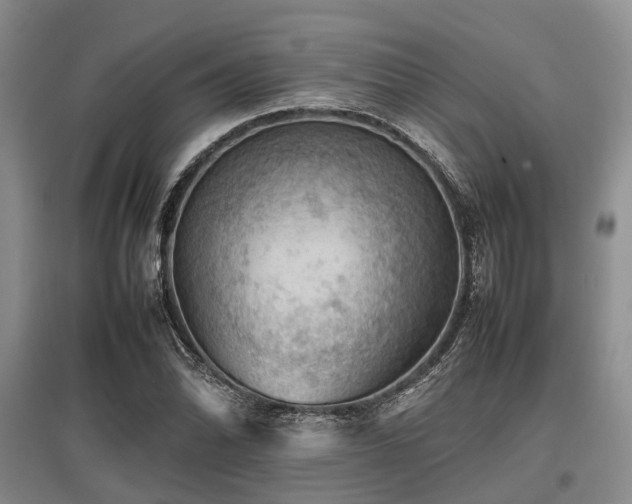 X0000097881070200803141315