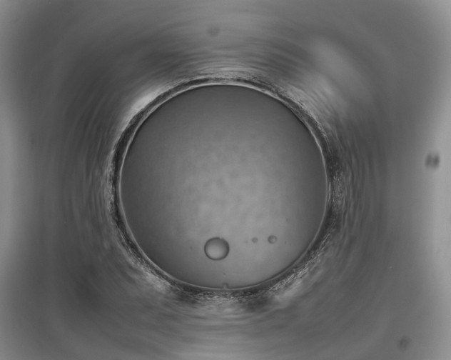 X0000097881071200803141315