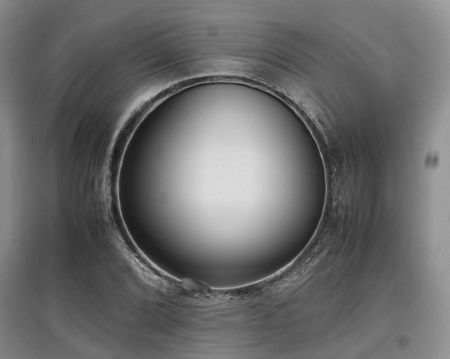 X0000097881072200803141315