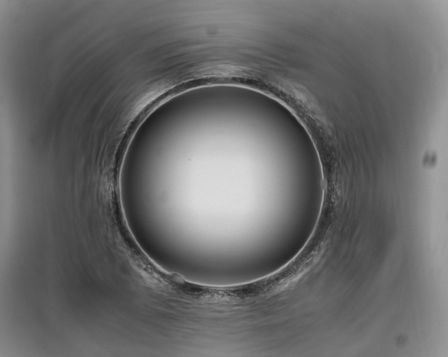 X0000097881073200803141315