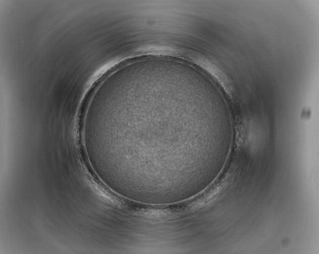 X0000097881074200803141315