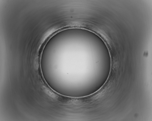 X0000097881075200803141315