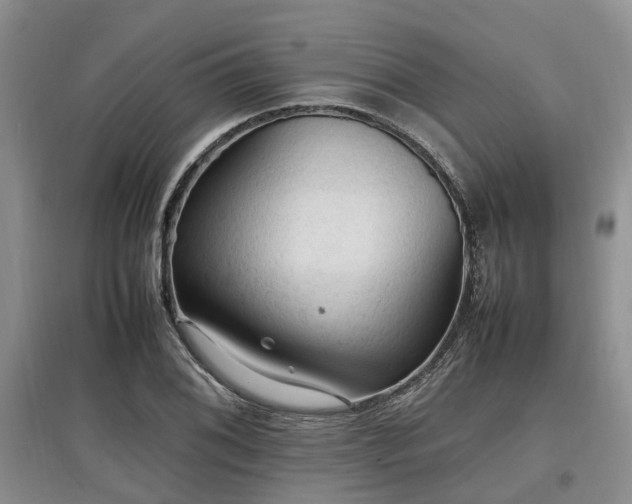 X0000097881076200803141315