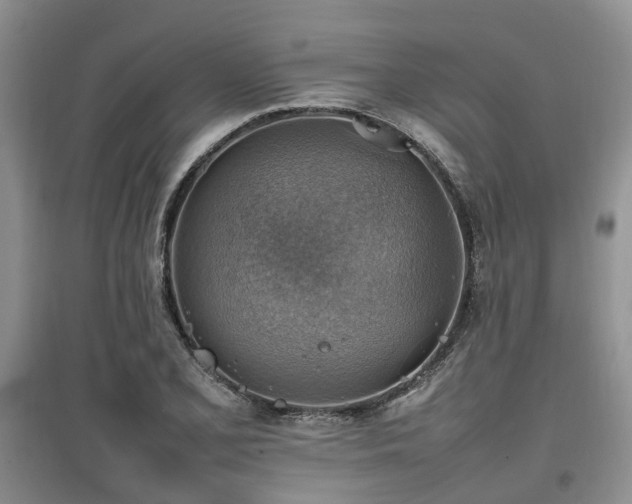 X0000097881077200803141315