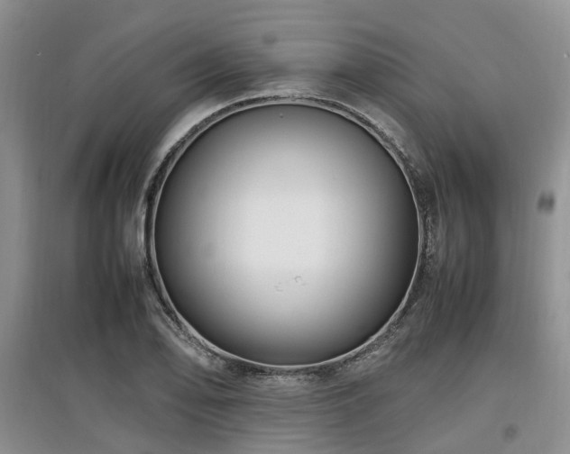 X0000097881078200803141315