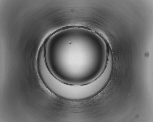 X0000097881080200803141315