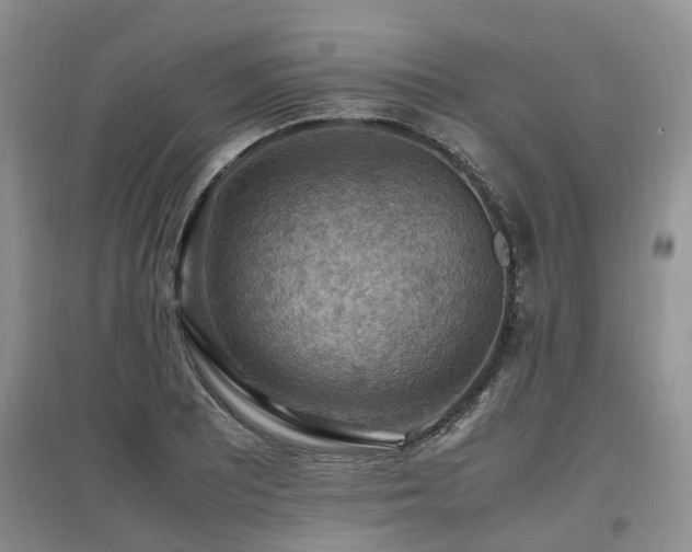 X0000097881081200803141315