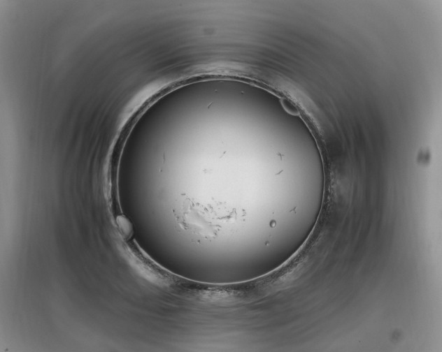 X0000097881082200803141315