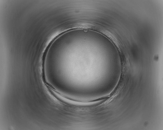 X0000097881083200803141315