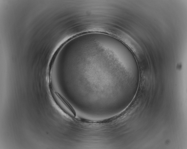 X0000097881084200803141315