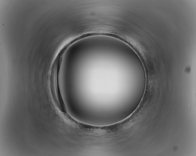 X0000097881085200803141315