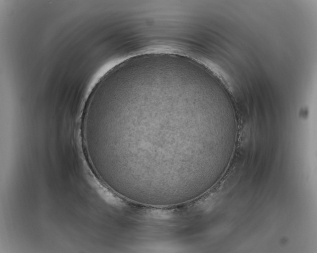 X0000097881086200803141315