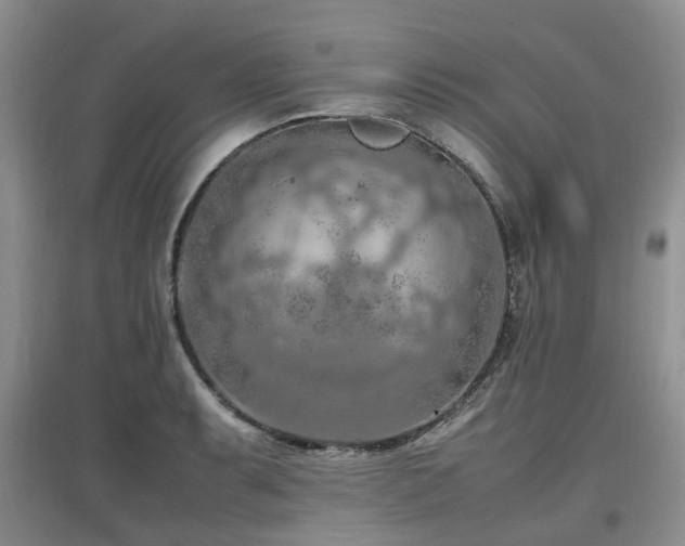 X0000097881087200803141315