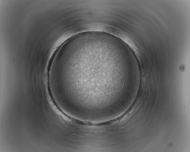 X0000097881088200803141315