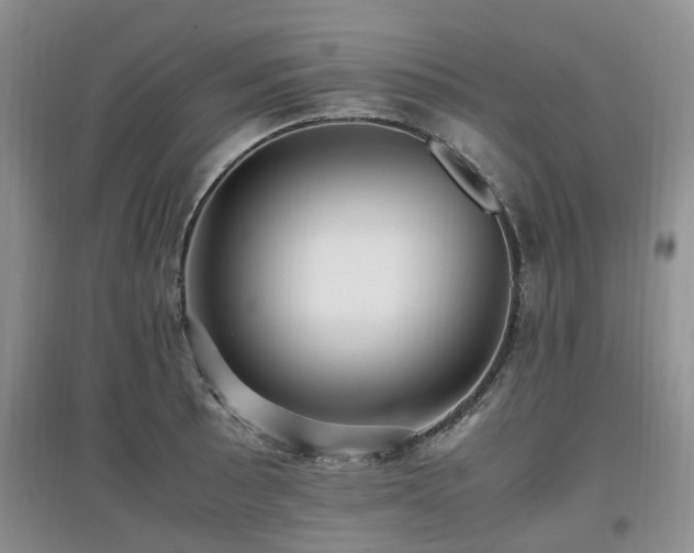 X0000097881089200803141315